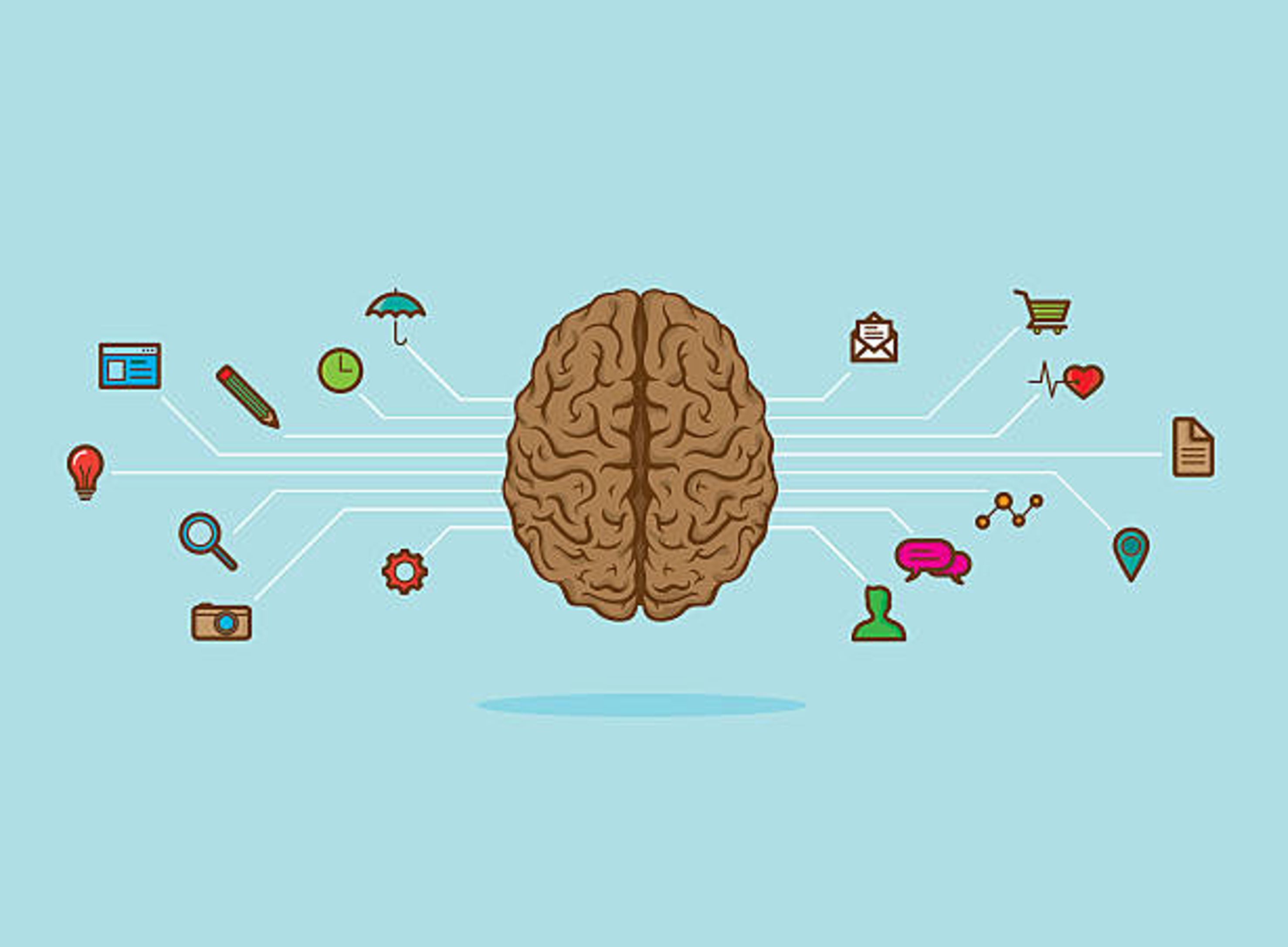 Seven and a Half Lesson About the Brain​